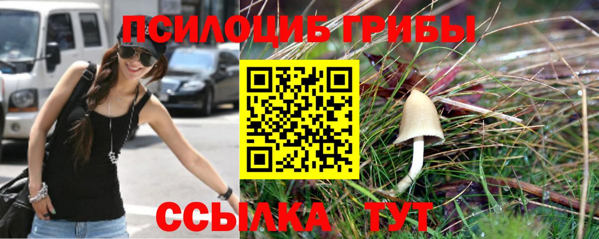 Галлюциногенные грибы Cubensis Саки