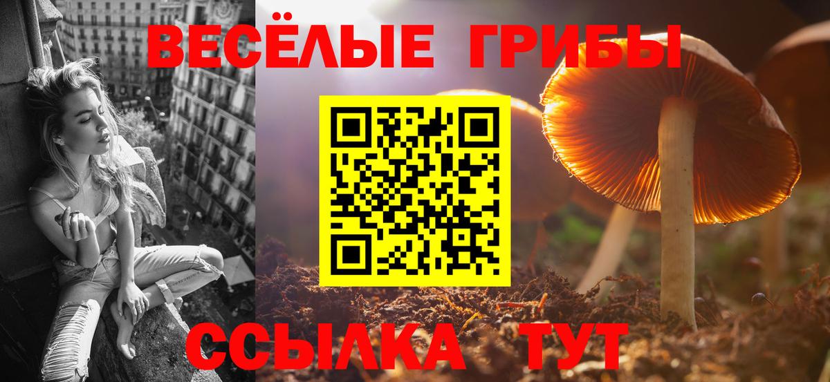 Псилоцибиновые грибы мухоморы  купить   Саки  Вход с VPN 
